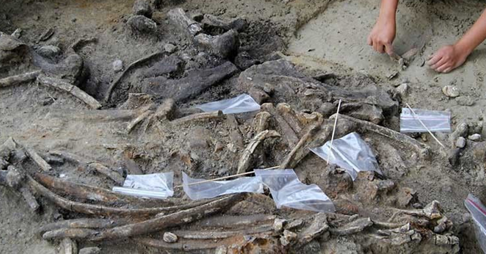 Humans lived in Philippines thousands of years before previously thought –study