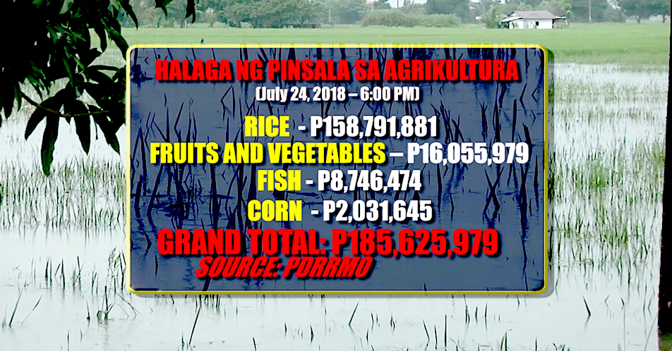 P185 milyon pananim, nasalanta ng baha sa Nueva Ecija