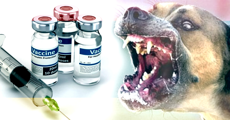 Bakuna kontra rabies, kapos na –DOH