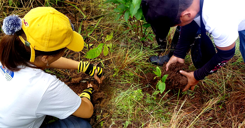 Pagtatanim ng puno sa kabundukan ng Pantabangan at Carranglan, target na matapos ng DENR ngayong taon
