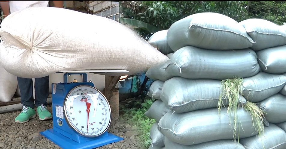 Nueva Ecija Provincial Food Council, namimili na ng palay sa mga farmer beneficiaries