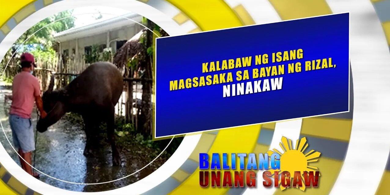 Kalabaw ng isang magsasaka sa bayan ng Rizal, ninakaw