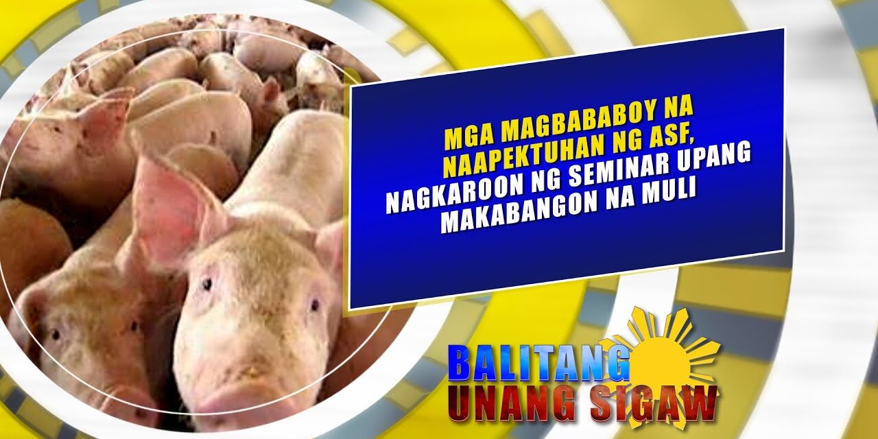 Mga magbababoy na naapektuhan ng ASF, nagkaroon ng seminar upang makabangon na muli