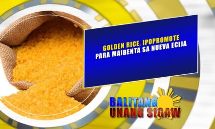 GOLDEN RICE, IPOPROMOTE PARA MAIBENTA SA NUEVA ECIJA