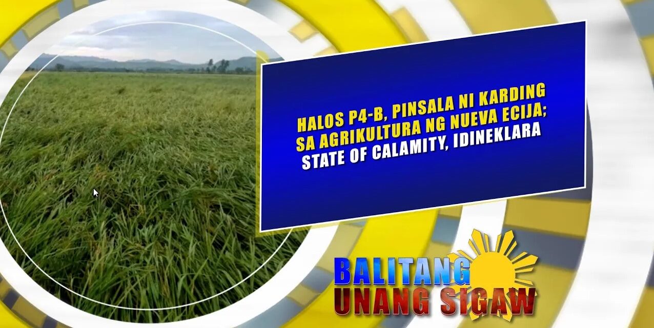 HALOS P4-B, PINSALA NI KARDING SA AGRIKULTURA NG NUEVA ECIJA; STATE OF CALAMITY, IDINEKLARA