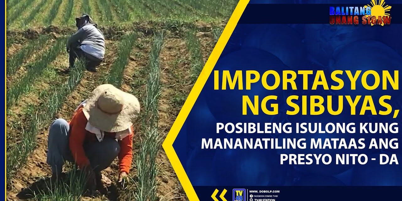 IMPORTASYON NG SIBUYAS, POSIBLENG ISUSULONG KUNG MANANATILING MATAAS ANG PRESYO NITO – DA