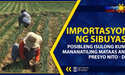 IMPORTASYON NG SIBUYAS, POSIBLENG ISUSULONG KUNG MANANATILING MATAAS ANG PRESYO NITO – DA