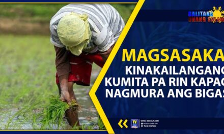 MAGSASAKA, KINAKAILANGANG KUMITA PA RIN KAPAG NAGMURA ANG BIGAS