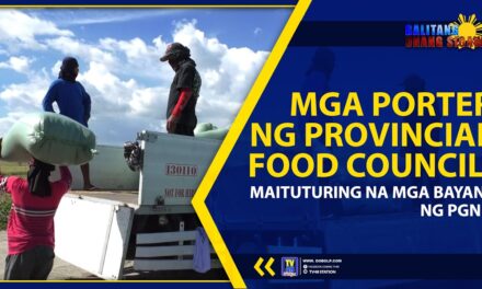 MGA PORTER NG PROVINCIAL FOOD COUNCIL, MAITUTURING NA MGA BAYANI NG PGNE