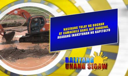 Nasirang tulay ng Bugnan at Camachile dahil kay Karding, agarang inaksyunan ng Kapitolyo