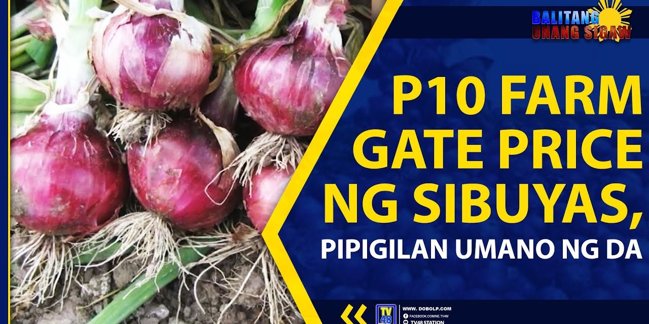 P10 FARM GATE PRICE NG SIBUYAS, PIPIGILAN UMANO NG DA
