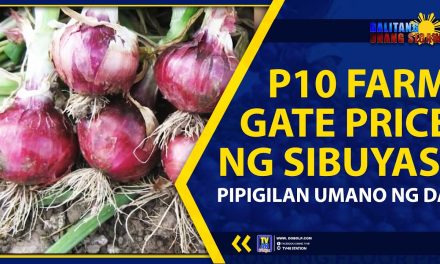 P10 FARM GATE PRICE NG SIBUYAS, PIPIGILAN UMANO NG DA