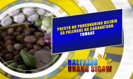 PRESYO NG PANGUNAHING BILIHIN SA PALENGKE NG CABANATUAN, TUMAAS