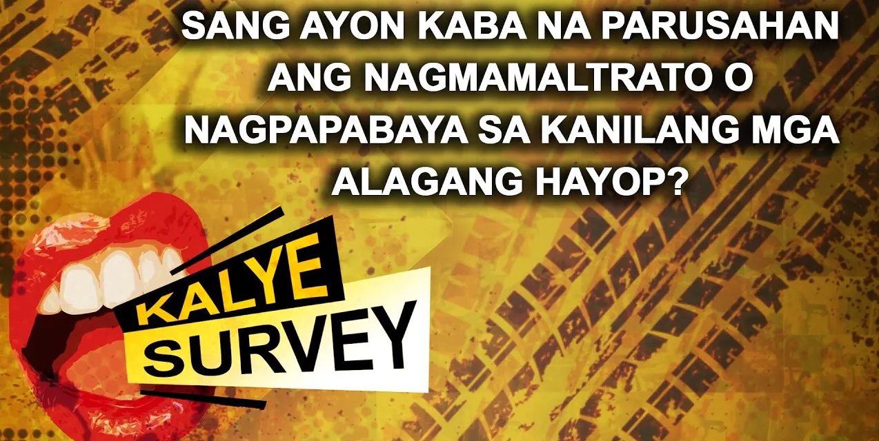 SANG AYON KABA NA PARUSAHAN ANG NAGMAMALTRATO O NAGPAPABAYA SA KANILANG MGA ALAGANG HAYOP?
