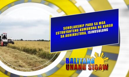 SCHOLARSHIP PARA SA MGA ESTUDYANTENG KUMUKUHA NG KURSO SA AGRIKULTURA, ISINUSULONG