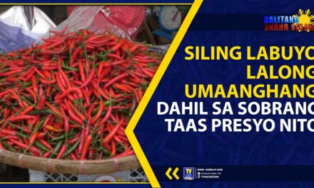 SILING LABUYO LALONG UMAANGHANG DAHIL SA SOBRANG TAAS PRESYO NITO