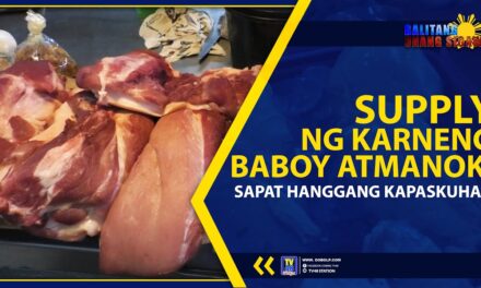 SUPPLY NG KARNENG BABOY AT MANOK, SAPAT HANGGANG KAPASKUHAN