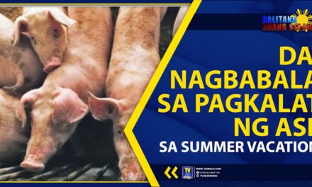 DA, NAGBABALA SA PAGKALAT NG ASF SA SUMMER VACATION