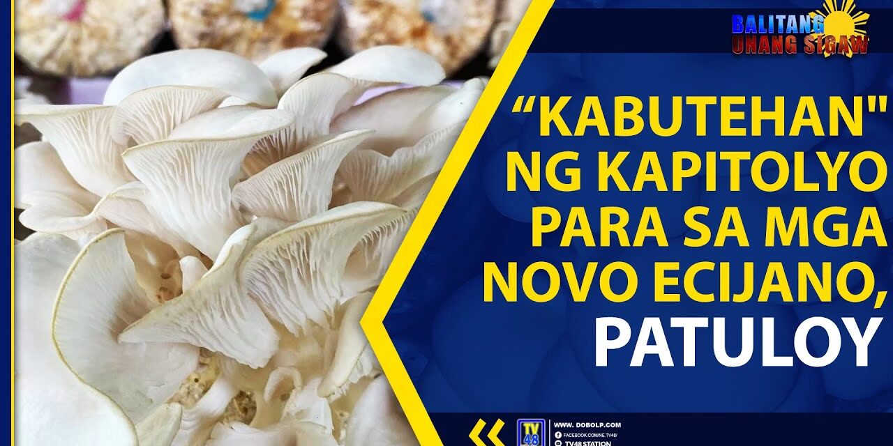 “KABUTEHAN” NG KAPITOLYO PARA SA MGA NOVO ECIJANO, PATULOY