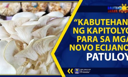 “KABUTEHAN” NG KAPITOLYO PARA SA MGA NOVO ECIJANO, PATULOY