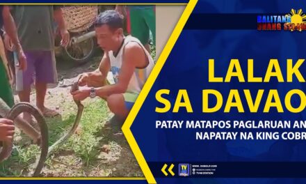 LALAKI SA DAVAO, PATAY MATAPOS PAGLARUAN ANG NAPATAY NA KING COBRA
