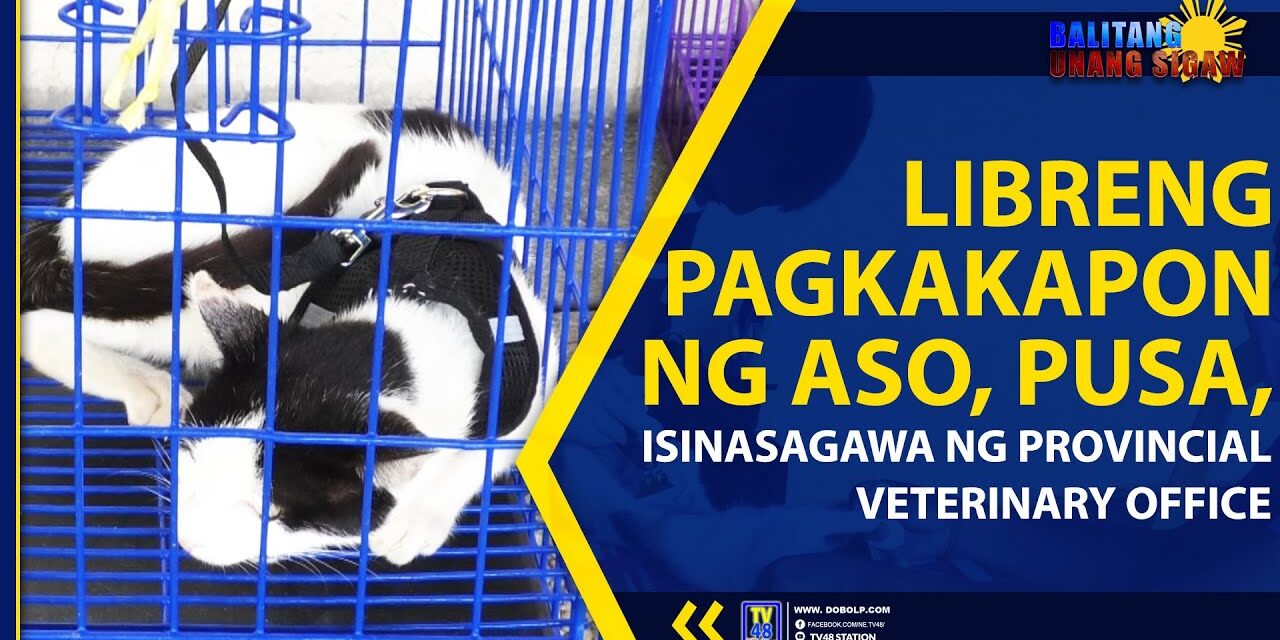 LIBRENG PAGKAKAPON NG ASO, PUSA, ISINASAGAWA NG PROVINCIAL VETERINARY OFFICE