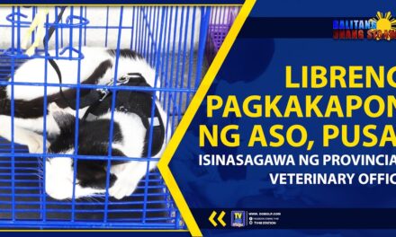 LIBRENG PAGKAKAPON NG ASO, PUSA, ISINASAGAWA NG PROVINCIAL VETERINARY OFFICE