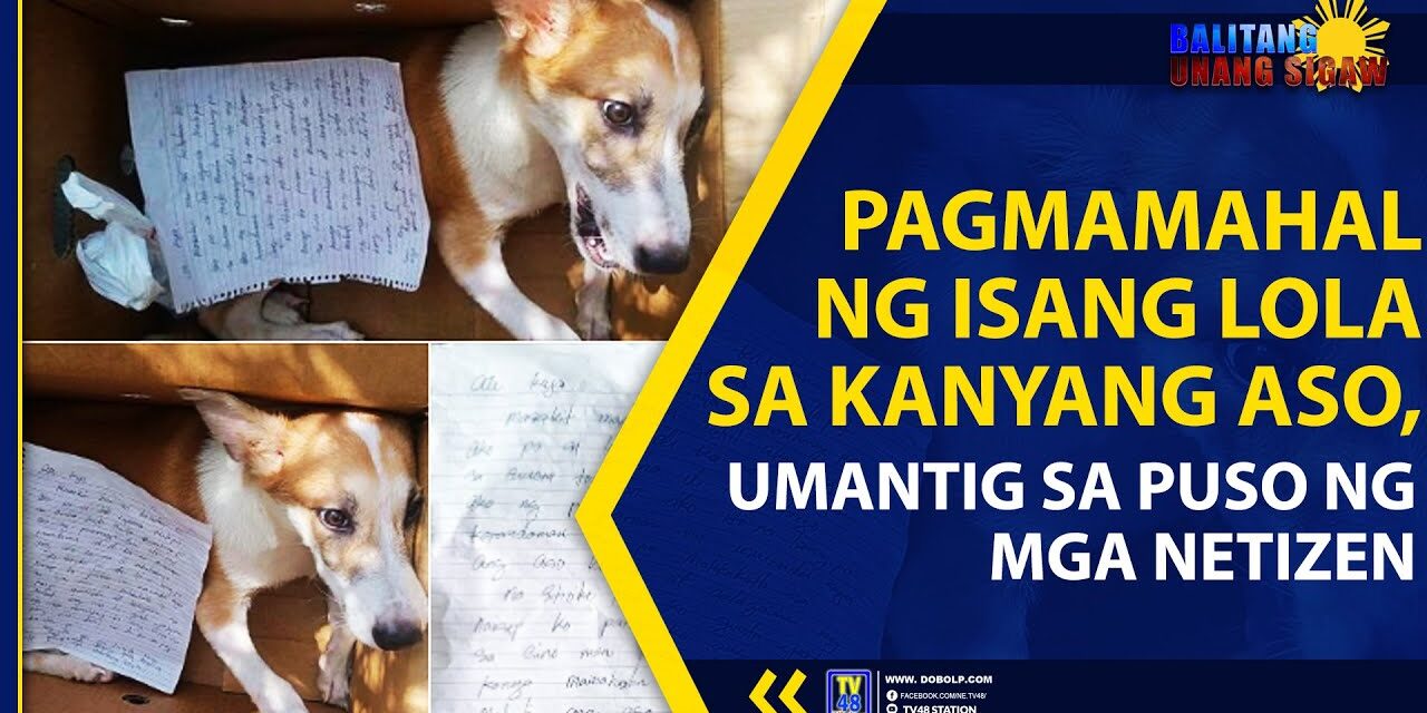 PAGMAMAHAL NG ISANG LOLA SA KANYANG ASO, UMANTIG SA PUSO NG MGA NETIZEN
