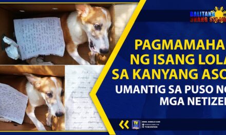 PAGMAMAHAL NG ISANG LOLA SA KANYANG ASO, UMANTIG SA PUSO NG MGA NETIZEN