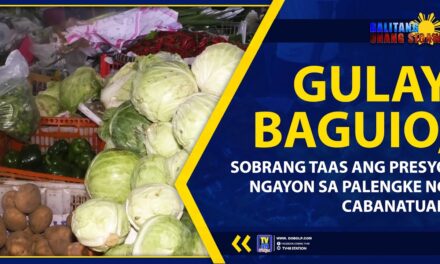 GULAY BAGUIO, SOBRANG TAAS ANG PRESYO NGAYON SA PALENGKE NG CABANATUAN