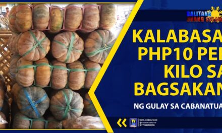 KALABASA, PHP10 PER KILO SA BAGSAKAN NG GULAY SA CABANATUAN