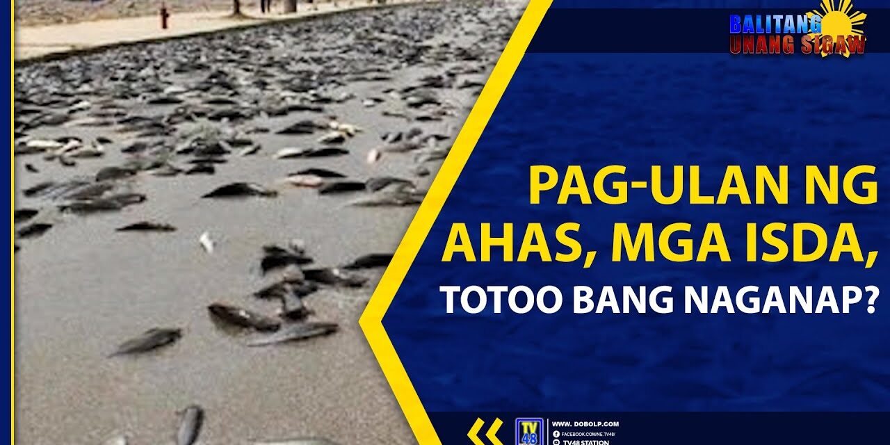 PAG-ULAN NG AHAS, MGA ISDA, TOTOO BANG NAGANAP?