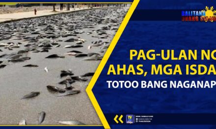PAG-ULAN NG AHAS, MGA ISDA, TOTOO BANG NAGANAP?