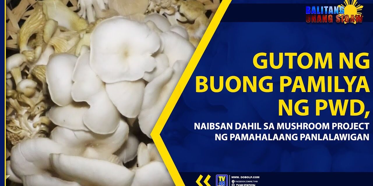 GUTOM NG BUONG PAMILYA NG PWD, NAIBSAN DAHIL SA MUSHROOM PROJECT