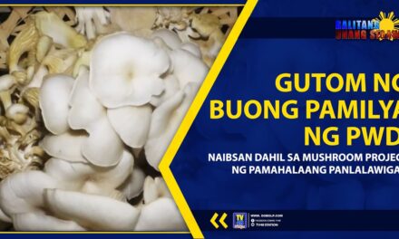 GUTOM NG BUONG PAMILYA NG PWD, NAIBSAN DAHIL SA MUSHROOM PROJECT