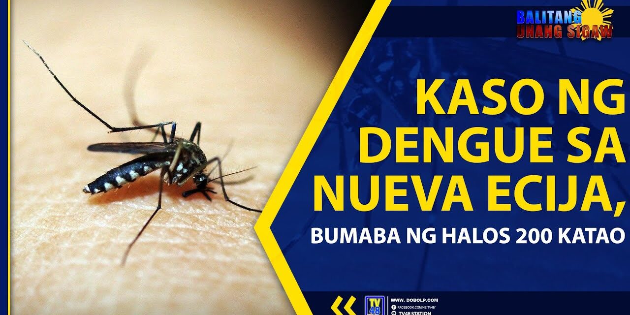 KASO NG DENGUE SA NUEVA ECIJA, BUMABA NG HALOS 200 KATAO