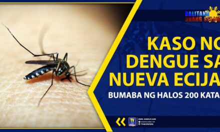 KASO NG DENGUE SA NUEVA ECIJA, BUMABA NG HALOS 200 KATAO
