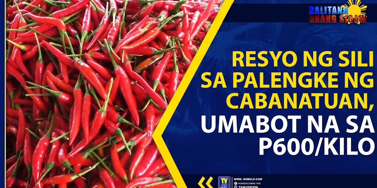 PRESYO NG SILI SA PALENGKE NG CABANATUAN, UMABOT NA SA P600/KILO