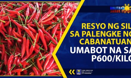 PRESYO NG SILI SA PALENGKE NG CABANATUAN, UMABOT NA SA P600/KILO