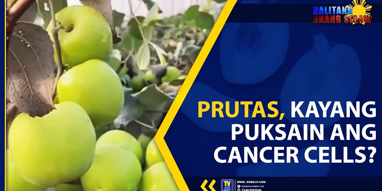 PRUTAS, KAYANG PUKSAIN ANG CANCER CELLS?