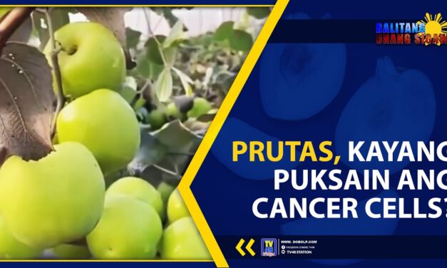 PRUTAS, KAYANG PUKSAIN ANG CANCER CELLS?