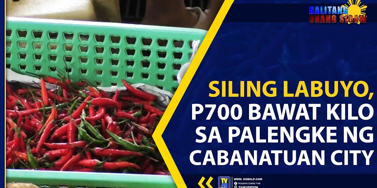 SILING LABUYO, P700 BAWAT KILO SA PALENGKE NG CABANATUAN CITY