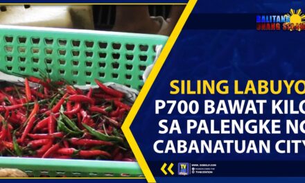 SILING LABUYO, P700 BAWAT KILO SA PALENGKE NG CABANATUAN CITY