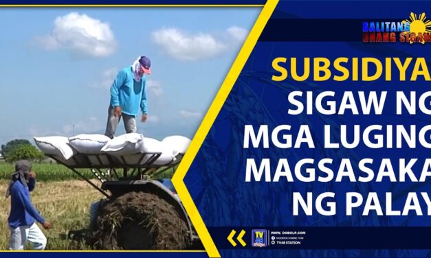 SUBSIDIYA, SIGAW NG MGA LUGING MAGSASAKA NG PALAY