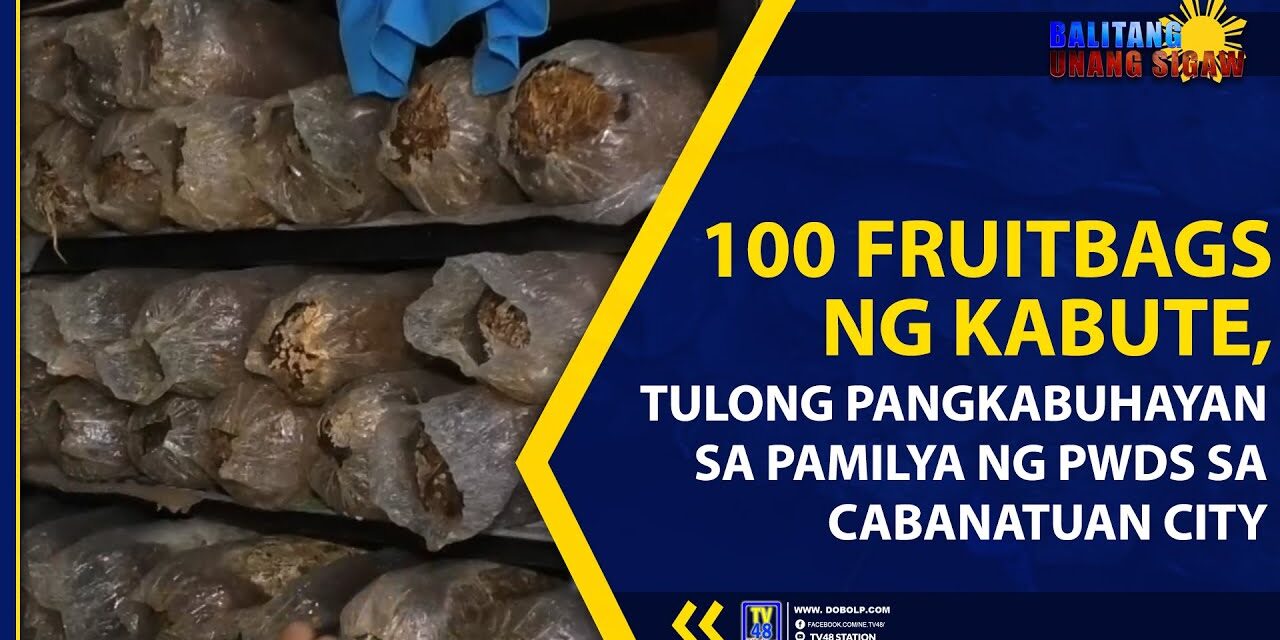 100 FRUITBAGS NG KABUTE, TULONG PANGKABUHAYAN SA PAMILYA NG PWDs SA CABANATUAN CITY