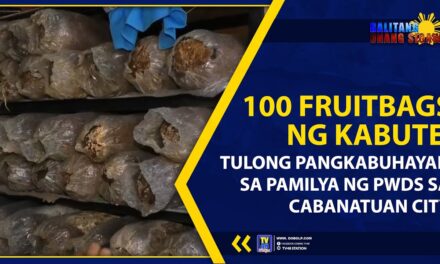 100 FRUITBAGS NG KABUTE, TULONG PANGKABUHAYAN SA PAMILYA NG PWDs SA CABANATUAN CITY