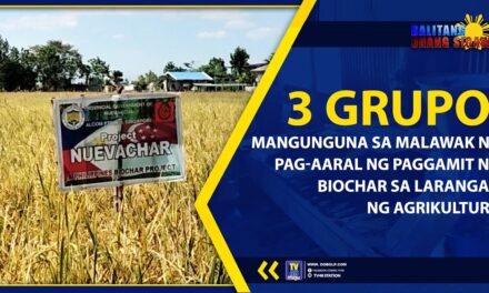 3 GRUPO, MANGUNGUNA SA MALAWAK NA PAG-AARAL NG PAGGAMIT NG BIOCHAR SA LARANGAN NG AGRIKULTURA