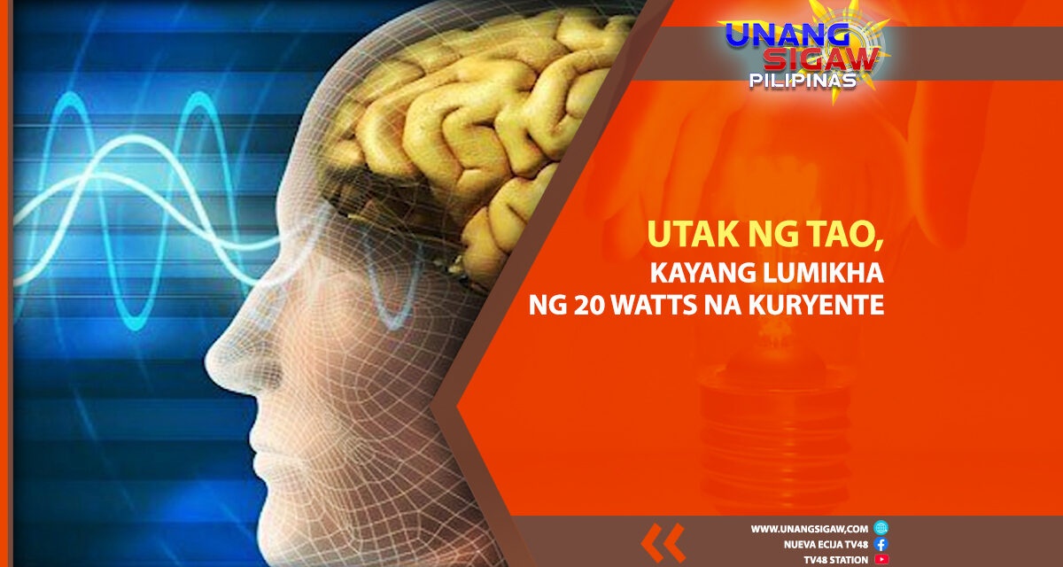 UTAK NG TAO, KAYANG LUMIKHA NG 20 WATTS NG KURYENTE