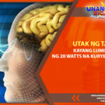 UTAK NG TAO, KAYANG LUMIKHA NG 20 WATTS NG KURYENTE