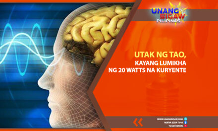 UTAK NG TAO, KAYANG LUMIKHA NG 20 WATTS NG KURYENTE